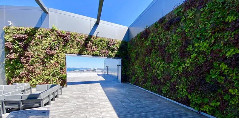Pier 4 Rooftop Terrace preview 22